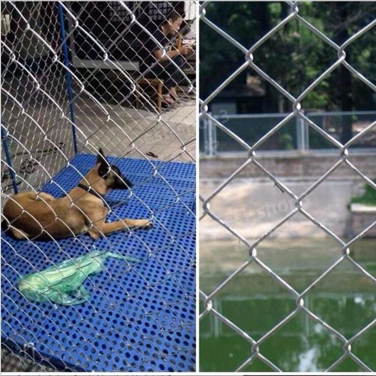鉄線フェンス ガードレール 牛羊の繁殖ネット 犬 ドッグラン 鉄線フェンス ガードレール 牛羊の繁殖ネット 犬 ドッグラン