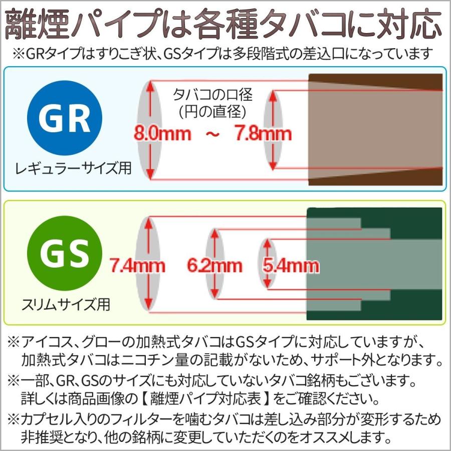 きょうつく/あすつく対応】離煙パイプ GR 31本セット レギュラータイプ