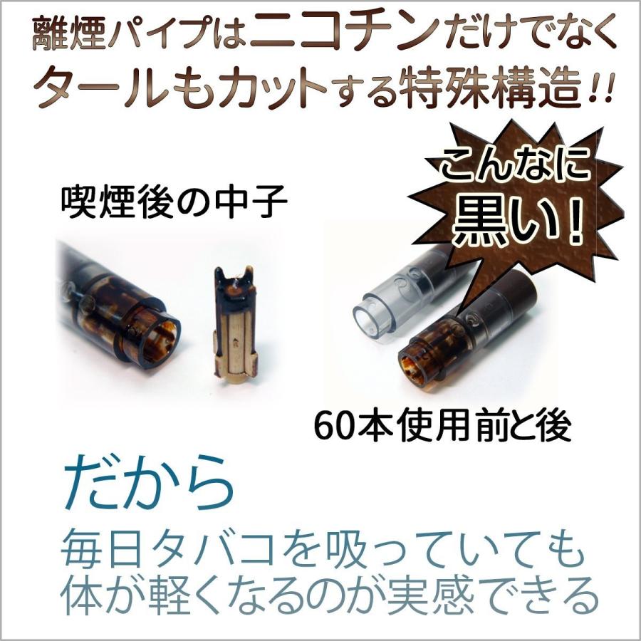 きょうつく/あすつく対応】離煙パイプ GR 31本セット レギュラータイプ