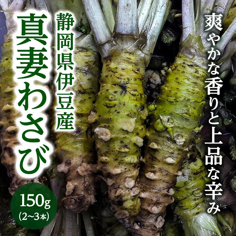 静岡県産 わさび苗 1000本 ワサビ 山葵