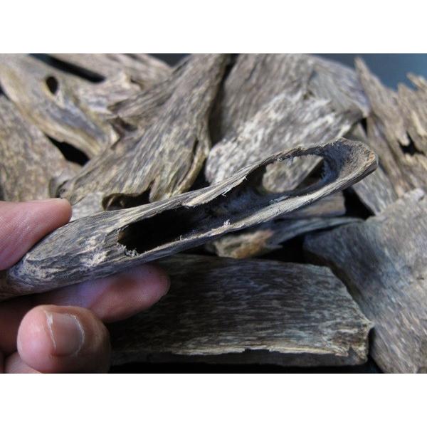 香木 沈香 伽羅 聞香◎品名:緑白檀(グリーンサンダルウッド)の根っこ水