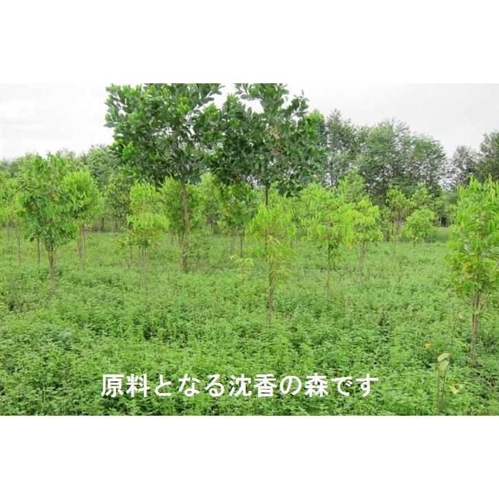 無添加ベトナム産高級沈香線香 シャム香 沈香 沈水香木/伽羅や 無添加ベトナム産高級沈香線香 シャム香 沈香 沈水香木/伽羅や
