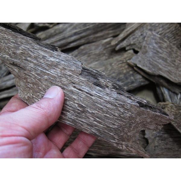 ベトナム産高級栽培沈香【中高ランク】100g 量り売り 沈香 沈水 ベトナム産高級栽培沈香【中高ランク】100g 量り売り 沈香 沈水