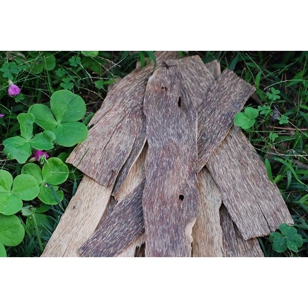 ベトナム産栽培沈香【表皮部分】100g量売り 沈香 原木 シャム 沈水香木