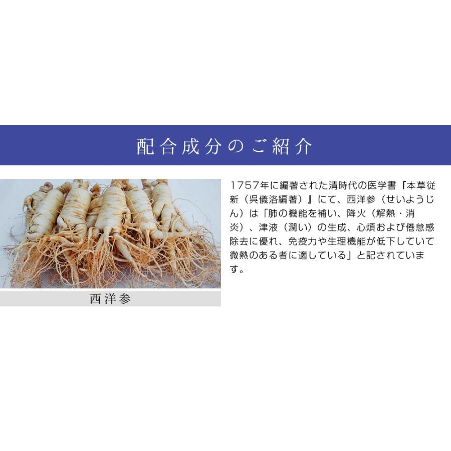 西洋参 250mg×120粒 サプリメント サプリ 錠剤 送料無料 新日本漢方