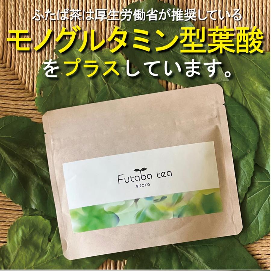 葉酸 サプリ お茶 桑の葉粉末 乳酸菌 鉄 カルシウム ふたば茶 | エソラ漢方薬本舗 | 15