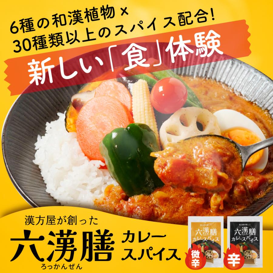 漢方 カレー スパイス　漢方屋が創った六漢膳カレースパイス　6種の和漢植物+30種類以上のスパイス配合　薬膳 | エソラ漢方薬本舗