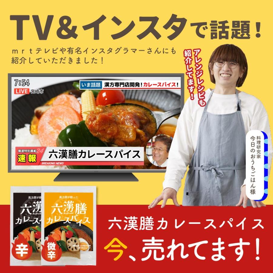 漢方 カレー スパイス　漢方屋が創った六漢膳カレースパイス　6種の和漢植物+30種類以上のスパイス配合　薬膳 | エソラ漢方薬本舗 | 03