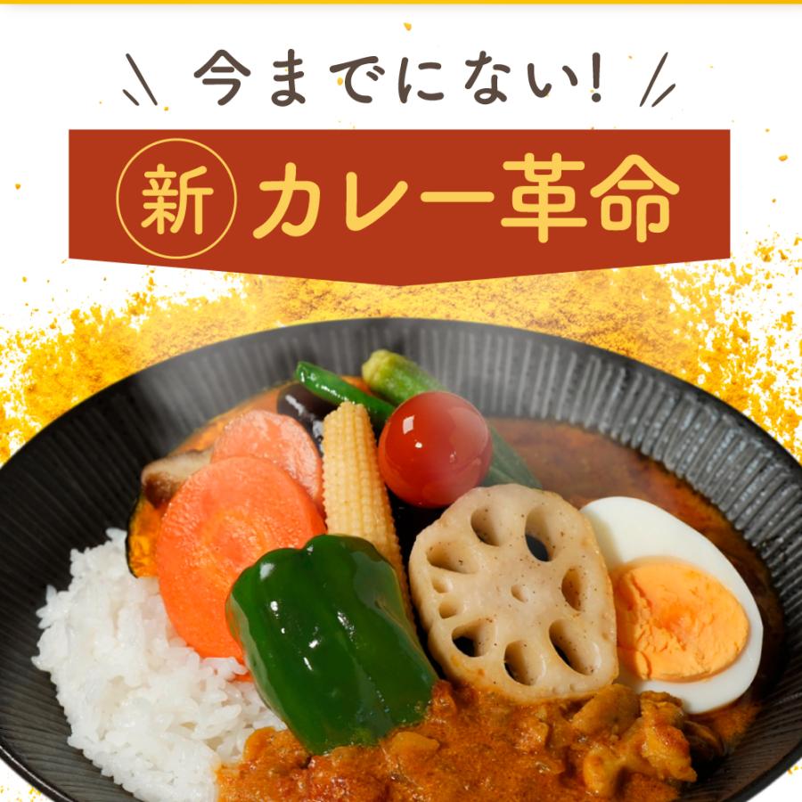 漢方 カレー スパイス　漢方屋が創った六漢膳カレースパイス　6種の和漢植物+30種類以上のスパイス配合　薬膳 | エソラ漢方薬本舗 | 04