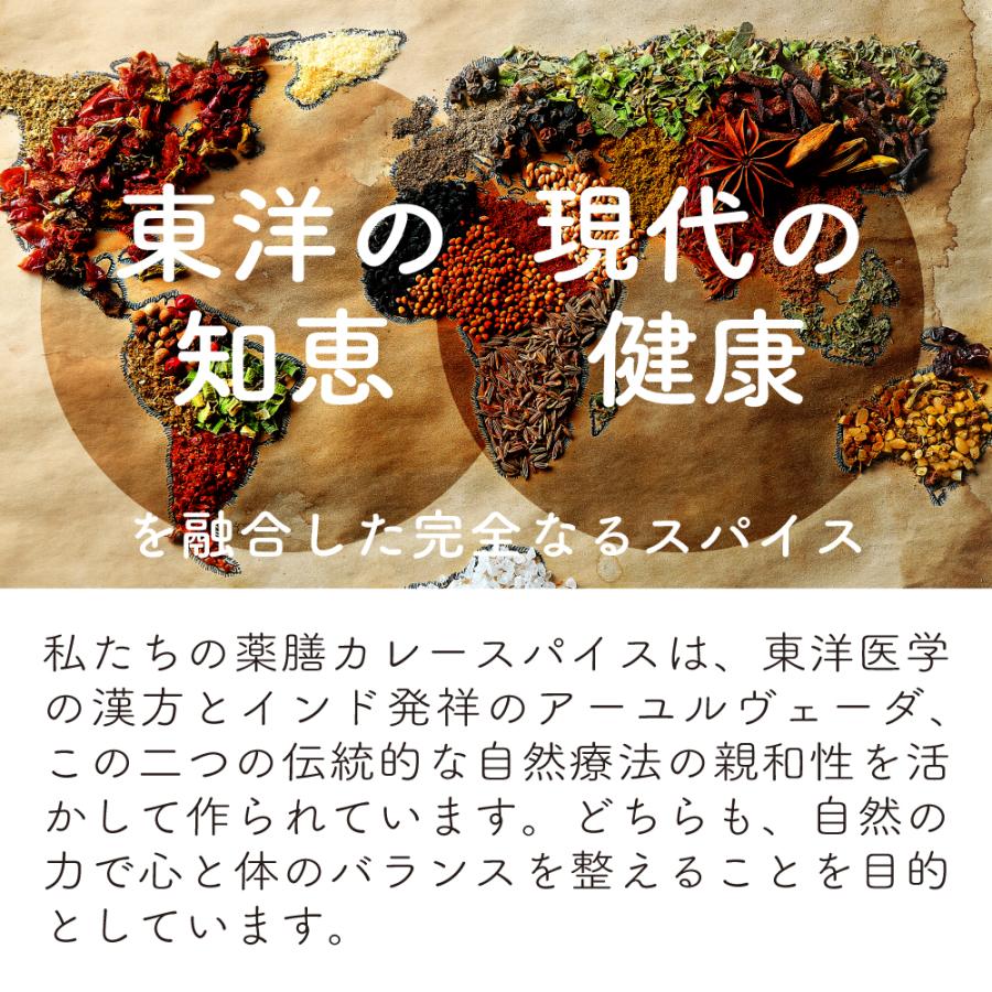 漢方 カレー スパイス　漢方屋が創った六漢膳カレースパイス　6種の和漢植物+30種類以上のスパイス配合　薬膳 | エソラ漢方薬本舗 | 07