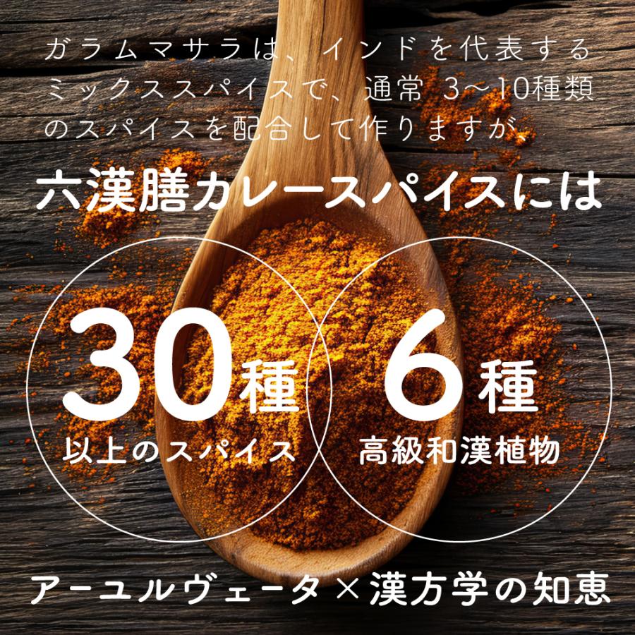 漢方 カレー スパイス　漢方屋が創った六漢膳カレースパイス　6種の和漢植物+30種類以上のスパイス配合　薬膳 | エソラ漢方薬本舗 | 08