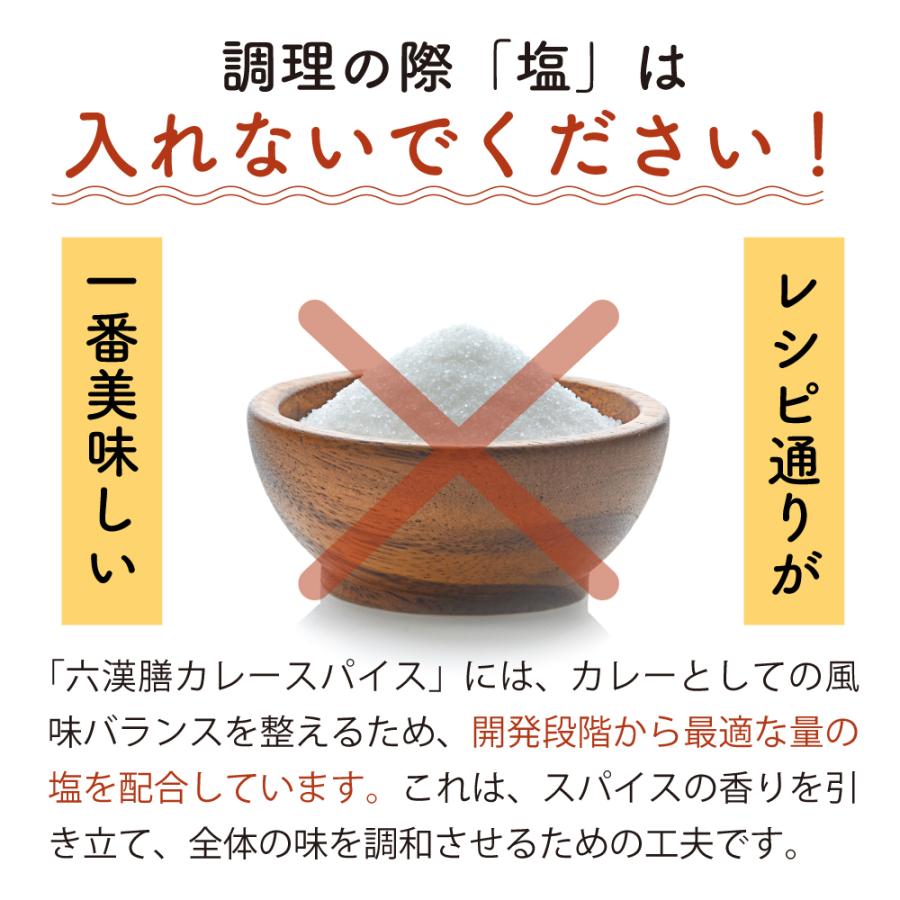 漢方 カレー スパイス　漢方屋が創った六漢膳カレースパイス　6種の和漢植物+30種類以上のスパイス配合　薬膳 | エソラ漢方薬本舗 | 10