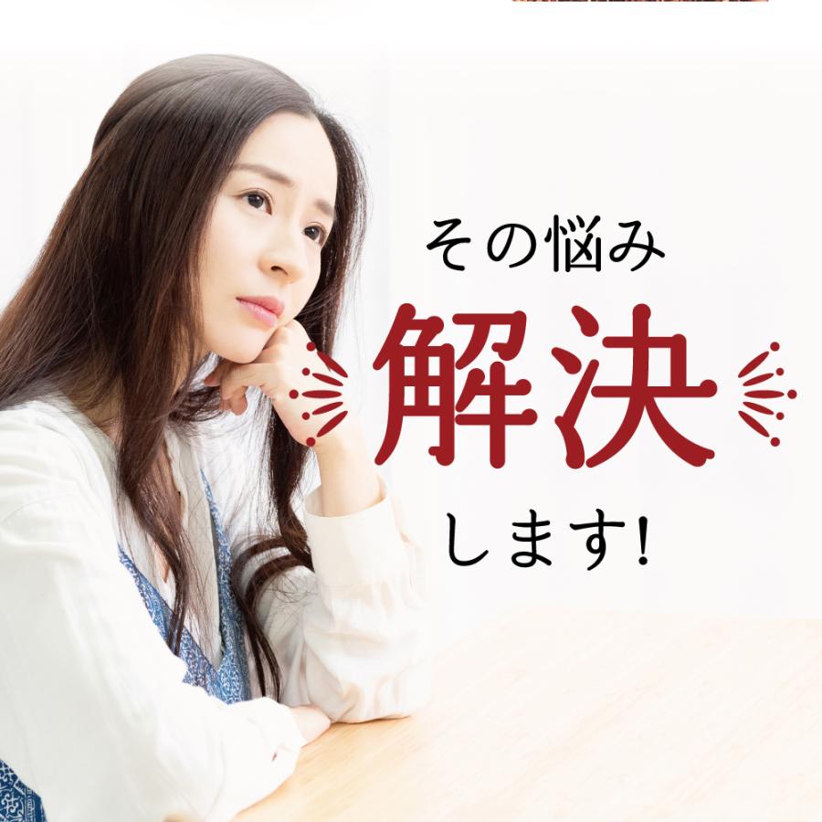 ＼乳酸菌１兆個配合／漢方屋が創ったオーガニック ルイボスティー100包  送料無料　爆買 | エソラ漢方薬本舗 | 07