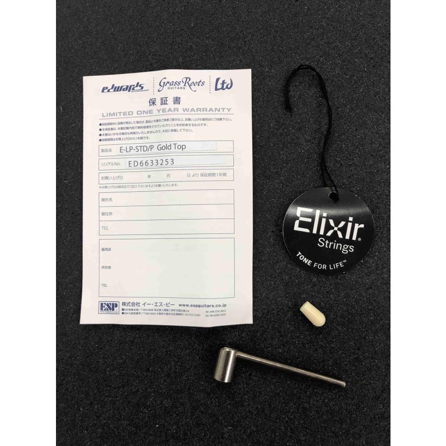 EDWARDS E-LP-STD/P/Gold Top_15