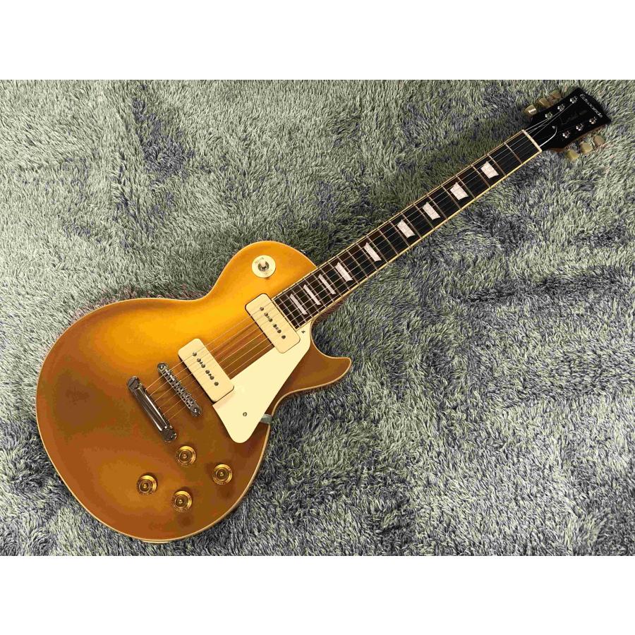 EDWARDS E-LP-STD/P/Gold Top_2