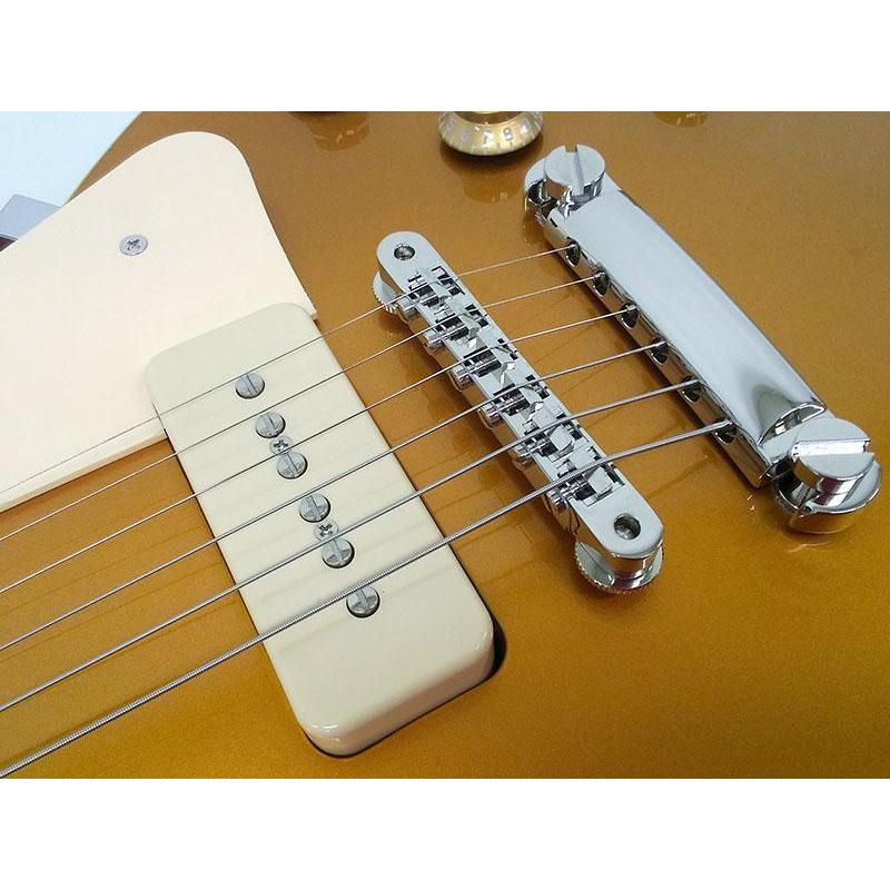 EDWARDS E-LP-STD/P/Gold Top_18
