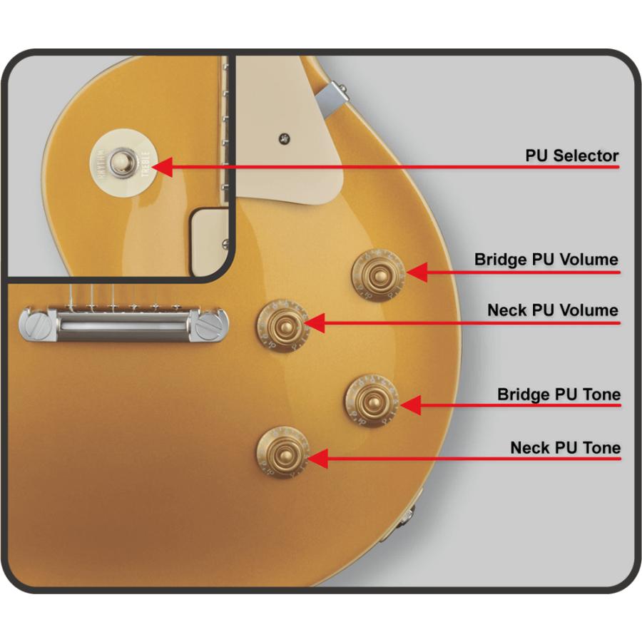 EDWARDS E-LP-STD/P/Gold Top_20