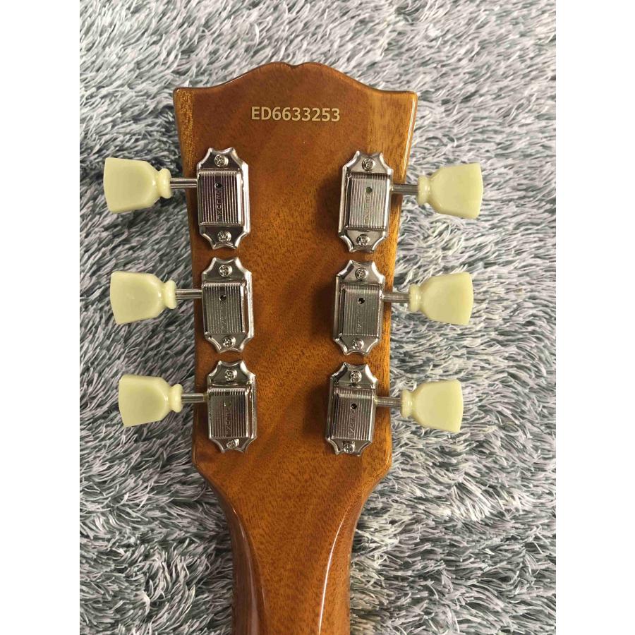 EDWARDS E-LP-STD/P/Gold Top_8