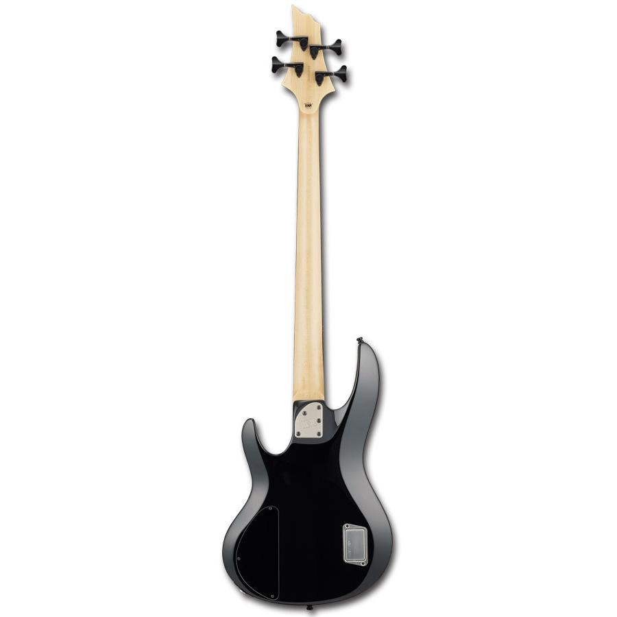 E-II BTL-4 Black Natural Burst_1