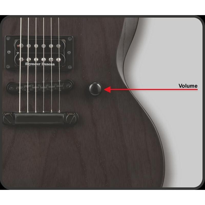 ESP EDWARDS E-VIPER-1H / Alternative Black : ESP-BIGBOSSヤフー店