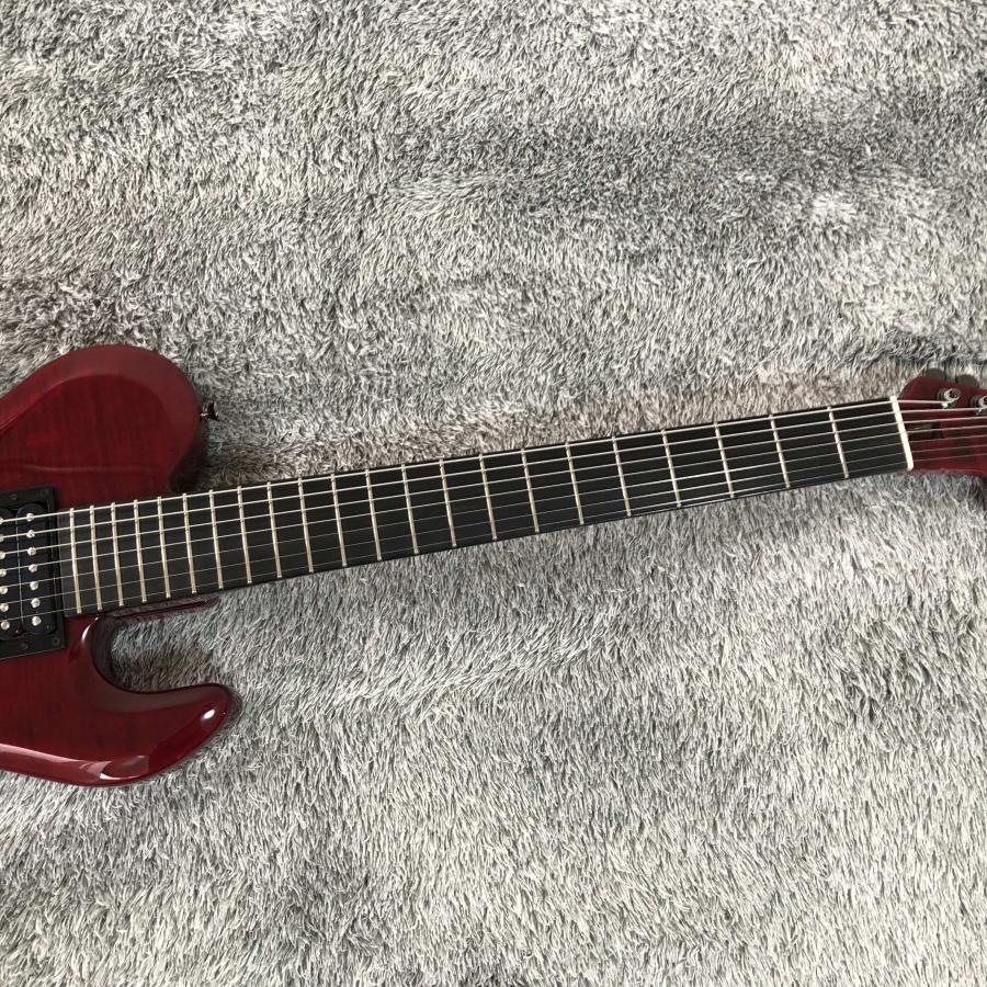 DIR EN GREY Dieモデル EDWARDS E-DR-II-7 重量4.15Kg シリアルNO