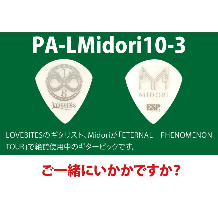 E-HORIZON-FR Midori Custom【予約販売商品】の画像