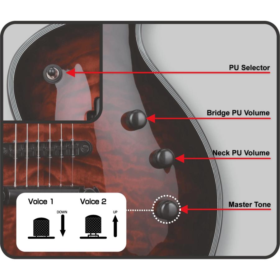 ESP E-II EC-QM FL / See Thru Black Cherry Sunburst : ESP-BIGBOSS