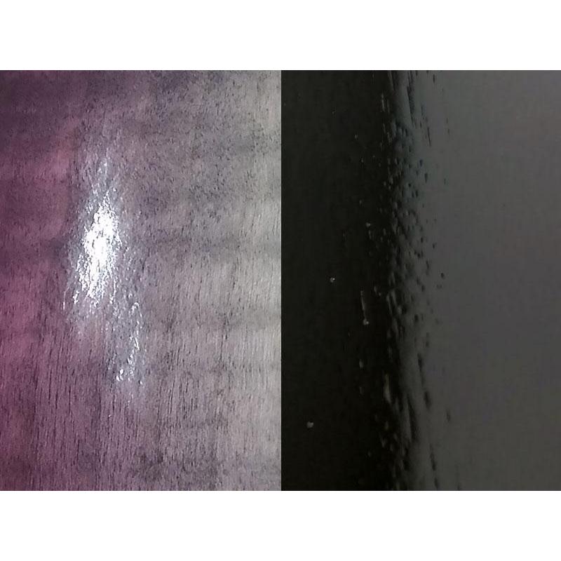 EDWARDS E-MYSTIQUE/SeeThruWhiteSunburst パイロットラン特価_8