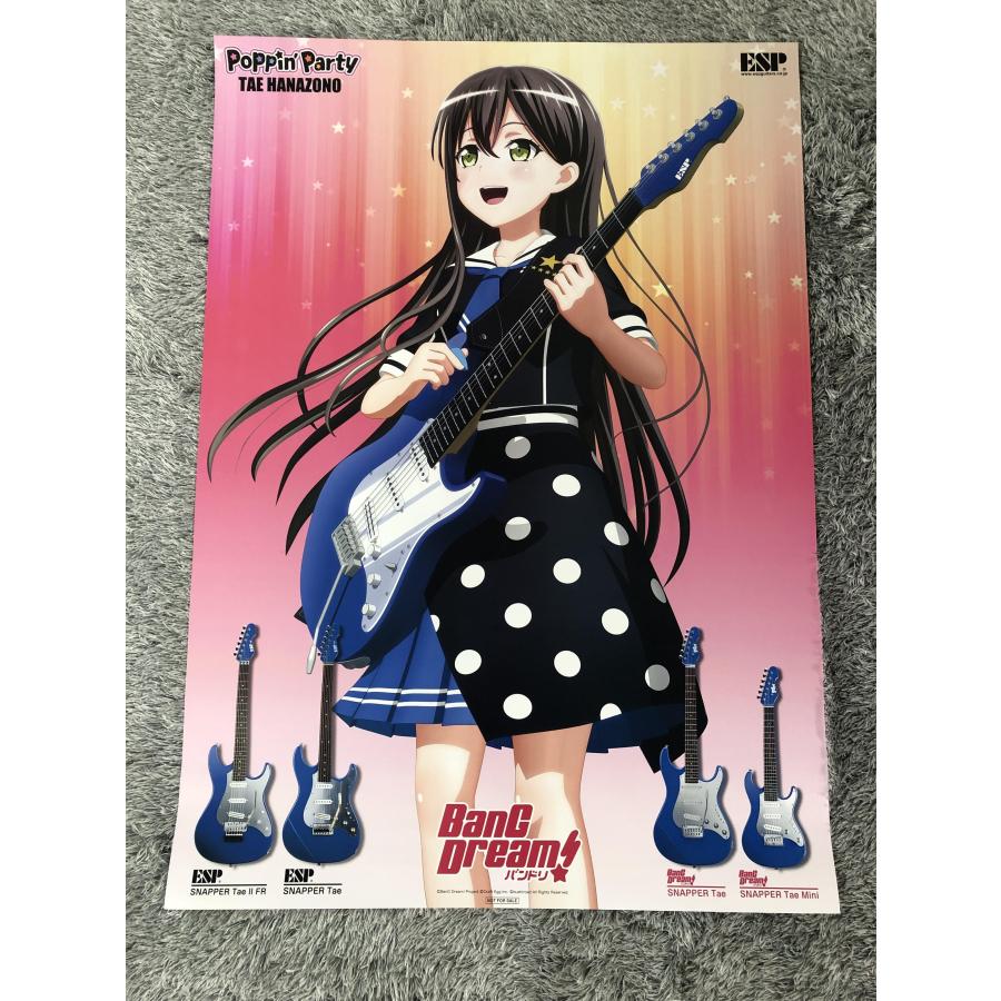 BanG Dream ! SNAPPER Tae 重量3.65Kg シリアルNO.GC2534696 : ESP