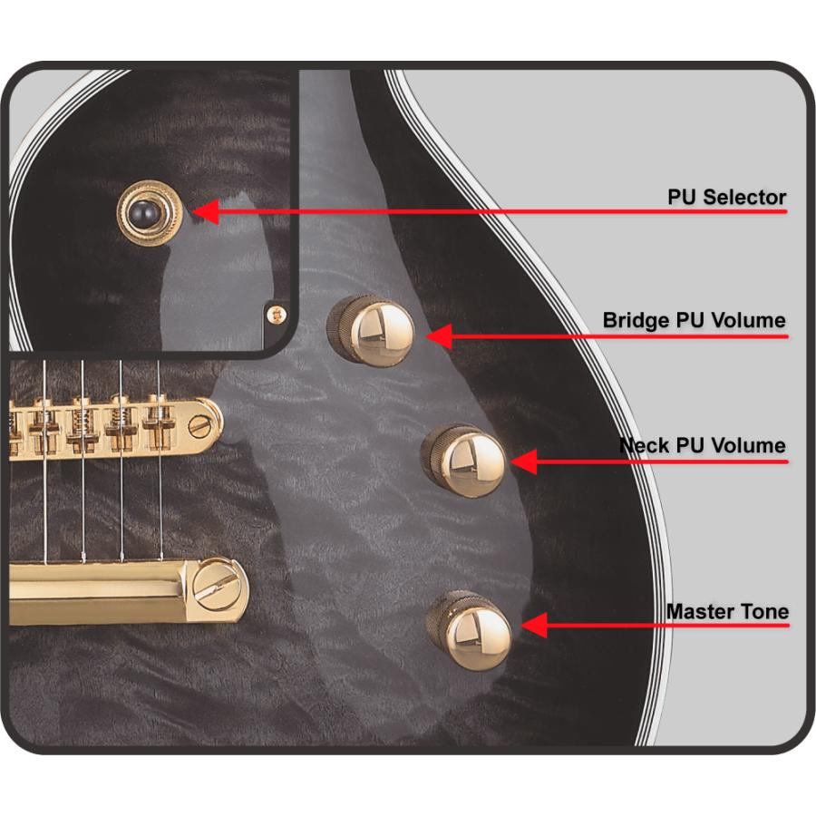 ESP GrassRoots G-EC-CTM QM : ESP-BIGBOSSヤフー店 - 通販 - Yahoo