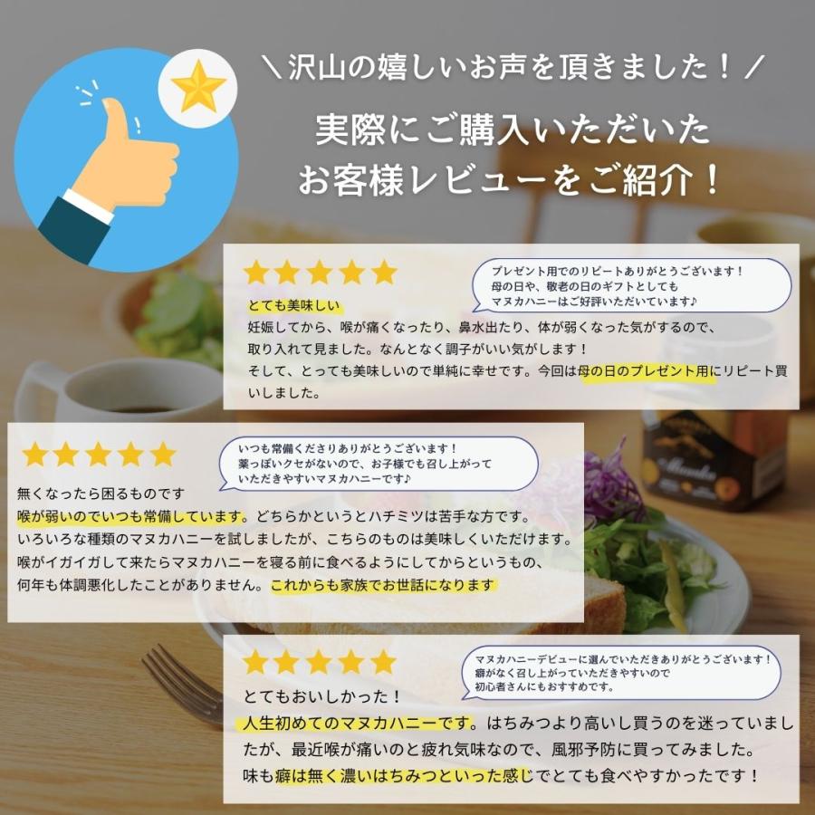 マヌカハニーUMF15+ MGO515+相当 250g 送料無料 エグモントハニー 分析書付ニュージーランド産100％天然はちみつ 爆買 | BeeMe | 01