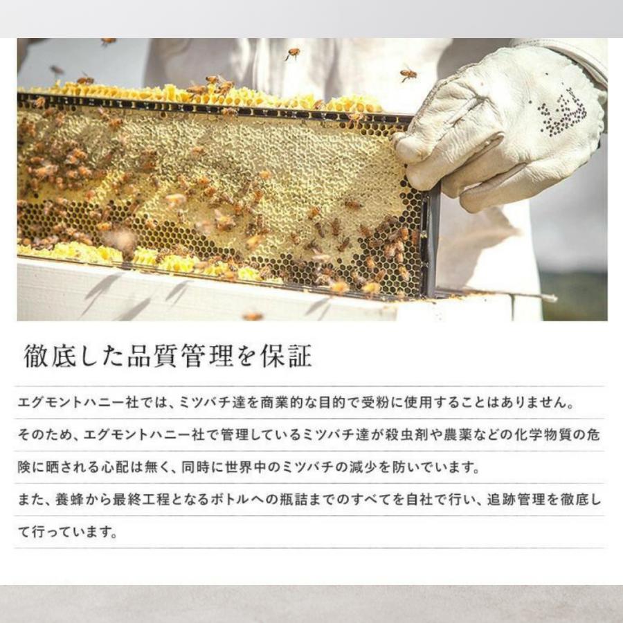 マヌカハニーUMF15+ MGO515+相当 250g 送料無料 エグモントハニー 分析書付ニュージーランド産100％天然はちみつ 爆買 | BeeMe | 07