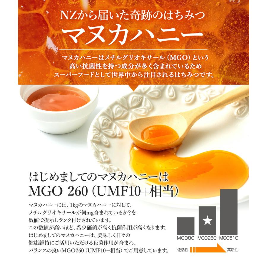 マヌカハニー MGO260 UMF10+ はじめましてのマヌカハニー200g 送料無料 ニュージーランド 無農薬 蜂蜜 正規品 ジャータイプ 非加熱 爆買 | BeeMe | 07