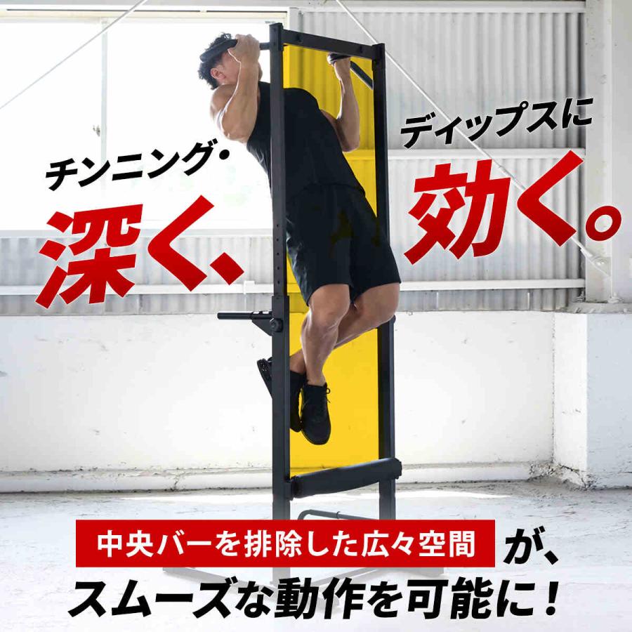 LEADING EDGE（リーディングエッジ） 懸垂器具 チンニングスタンド