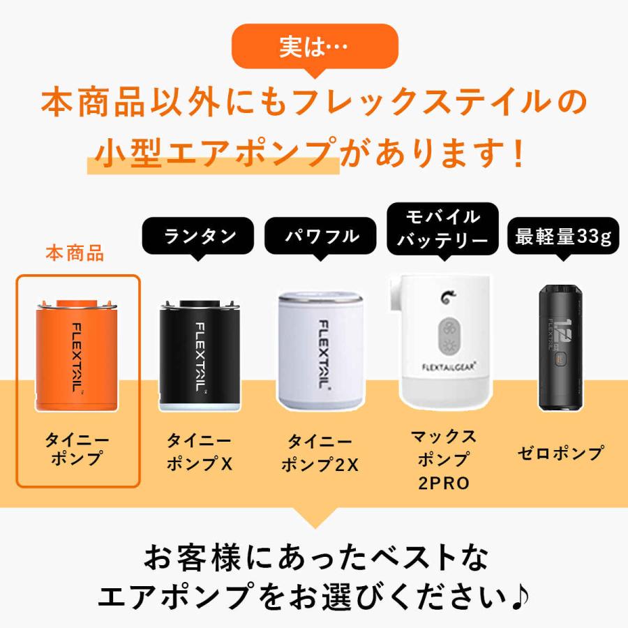 FLEXTAILGEAR フレックステイル FLEXTAIL タイニーポンプ エアーポンプ