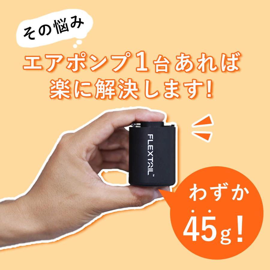 FLEXTAILGEAR フレックステイル FLEXTAIL タイニーポンプ エアーポンプ