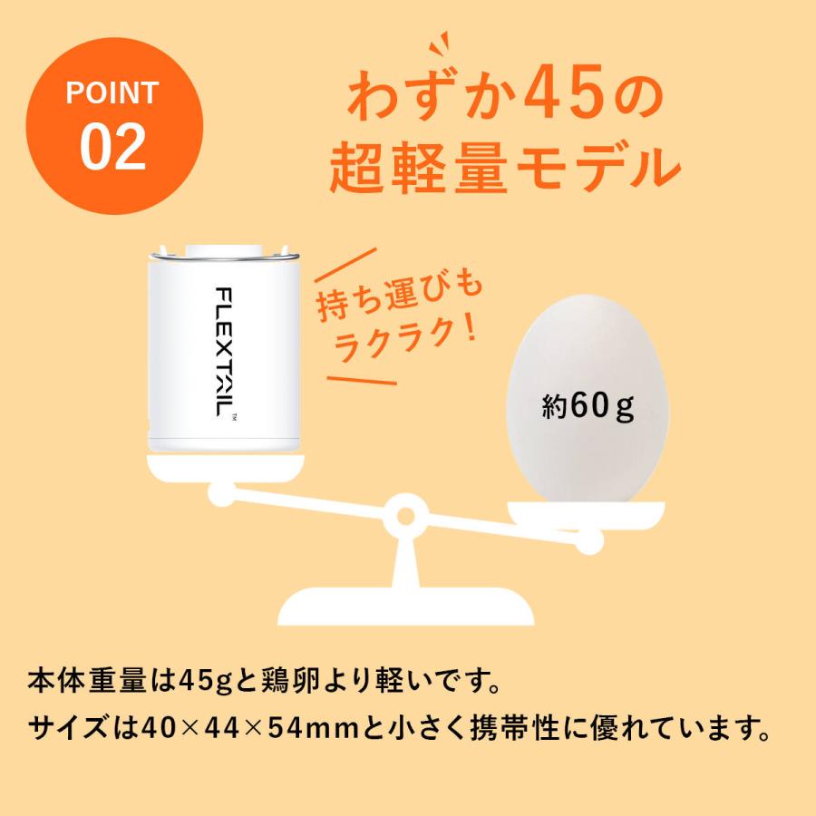 FLEXTAILGEAR フレックステイル FLEXTAIL タイニーポンプ エアーポンプ