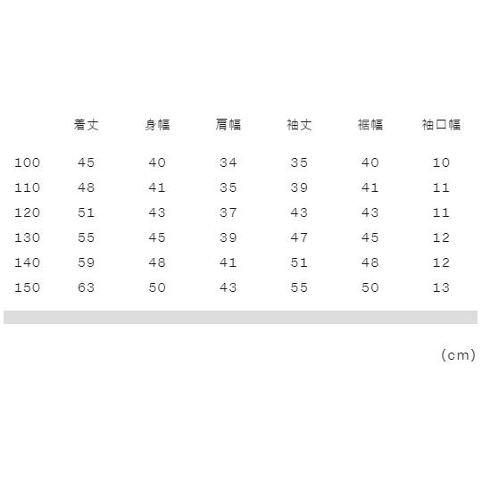 ザ・ノース・フェイス スクープジャケット NPJ62410 K ブラック キッズ 2024秋冬モデル 防水ジャケット アウトドア ウィンタースポーツ 子供 タウンユースの画像