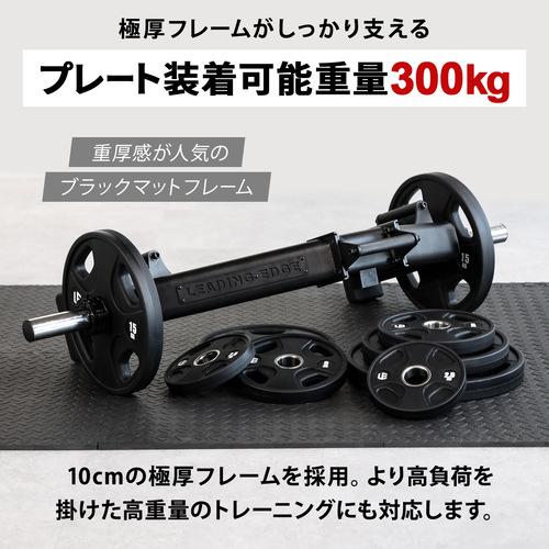 LEADING EDGE ☆5/6までポイント10倍☆ヘックスバー LE-HB100 LEADING EDGE ☆5/6までポイント10倍☆ヘックスバー LE-HB100