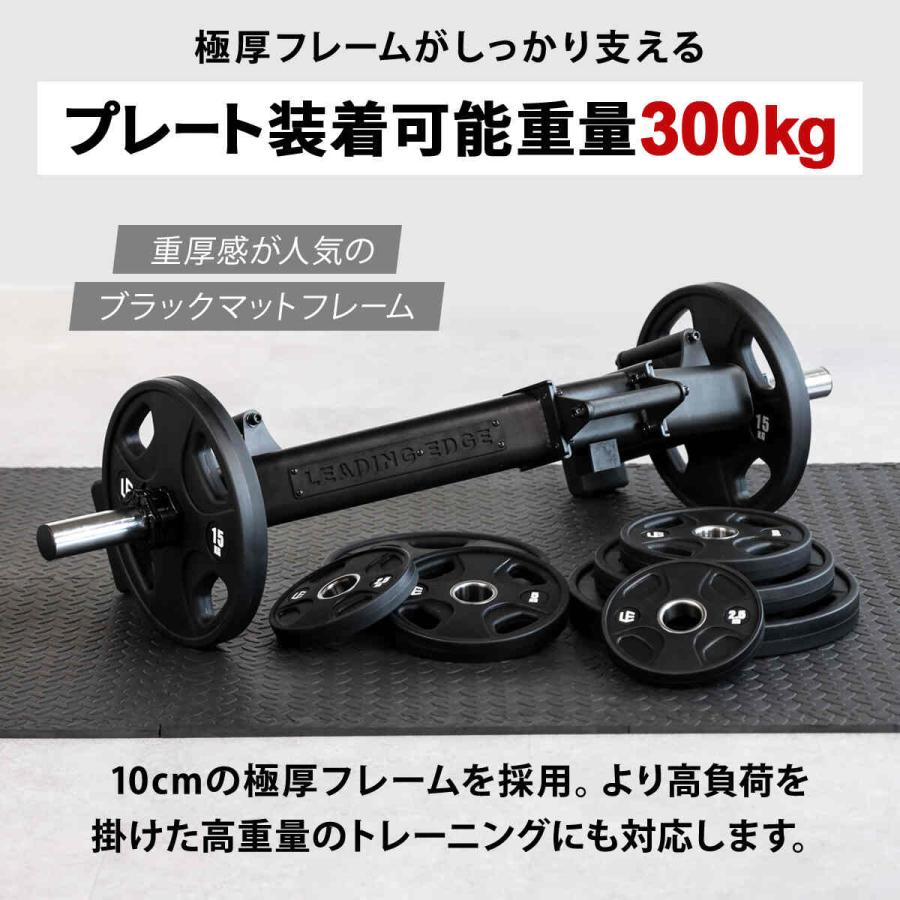 LEADING EDGE（リーディングエッジ） ヘックスバー LE-HB100 送料無料