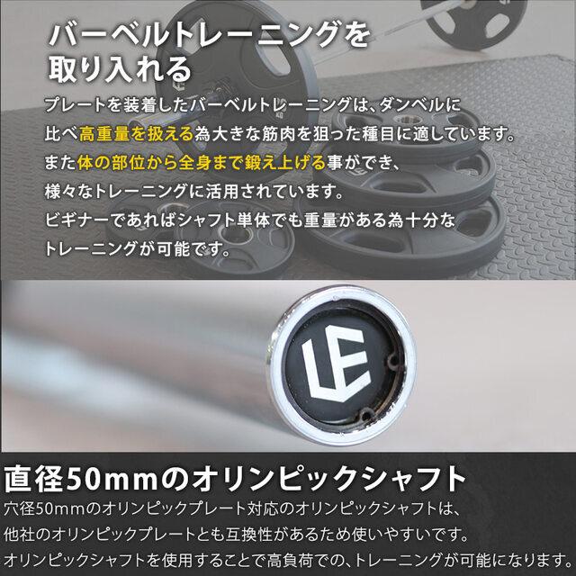 LEADING EDGE（リーディングエッジ） オリンピックシャフト 192cm 径