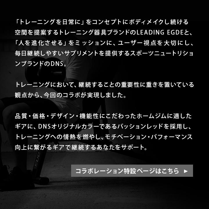 LEADING EDGE（リーディングエッジ） マルチポジションベンチ DNS