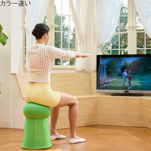 ショップジャパン Shop Japan バウンズシェイプ スクワット ショップジャパン Shop Japan バウンズシェイプ スクワット