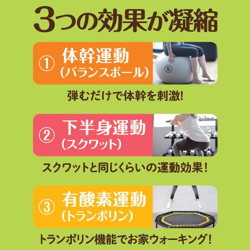 ショップジャパン Shop Japan バウンズシェイプ スクワット ショップジャパン Shop Japan バウンズシェイプ スクワット