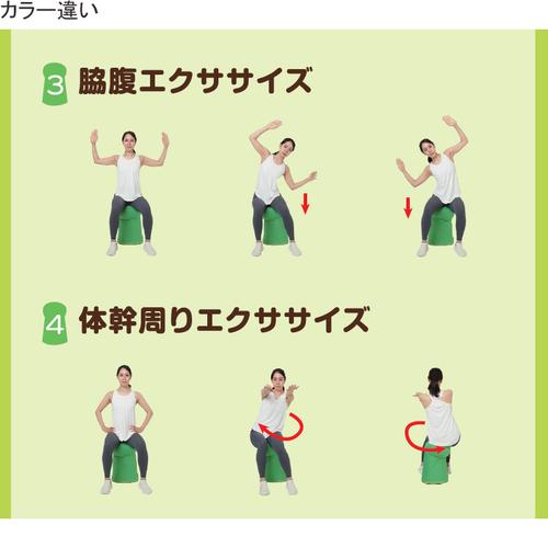 ショップジャパン Shop Japan バウンズシェイプ スクワット ショップジャパン Shop Japan バウンズシェイプ スクワット