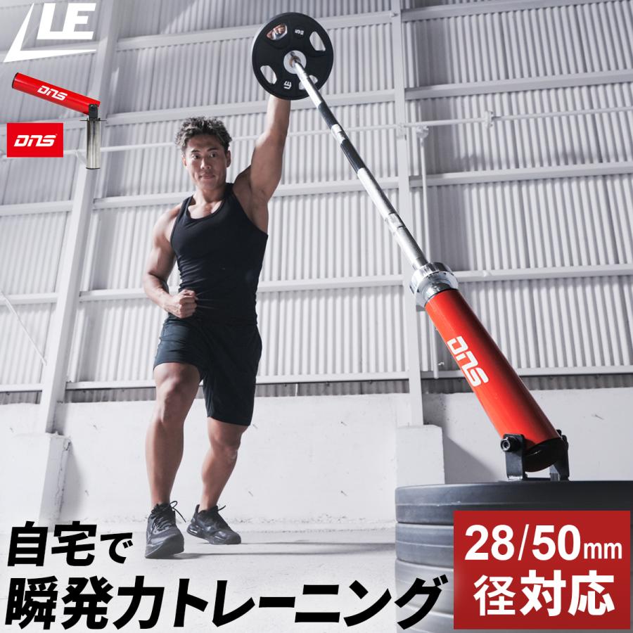 【美品】リーディングエッジ ランドマインセット（バーベルシャフト プレート付） LEADING EDGE（リーディングエッジ） ランドマイン Tバーロウ Tバー