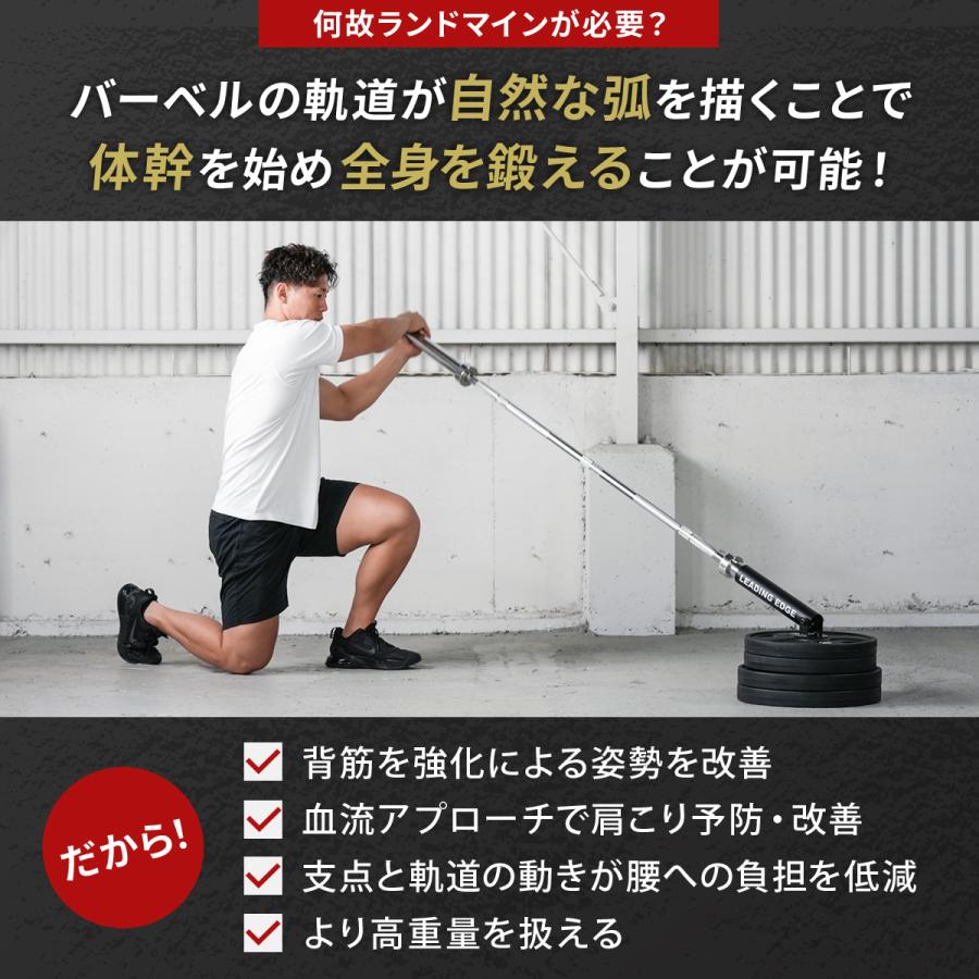 LEADING EDGE（リーディングエッジ） ランドマイン Tバーロウ Tバー