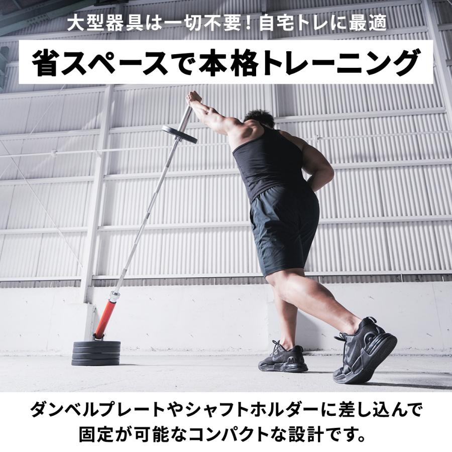 LEADING EDGE（リーディングエッジ） ランドマイン Tバーロウ Tバー
