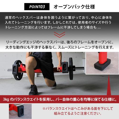 LEADING EDGE（リーディングエッジ） DNSコラボ 限定カラー バーベル