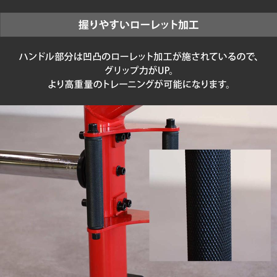 LEADING EDGE（リーディングエッジ） DNSコラボ 限定カラー バーベル